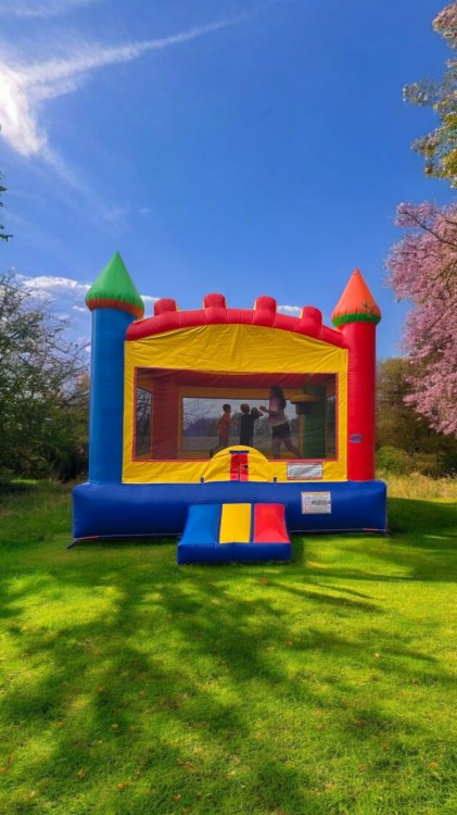 Castle Bouncer