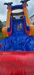 20250606 135943 1749743421 Tropical Obstacle
